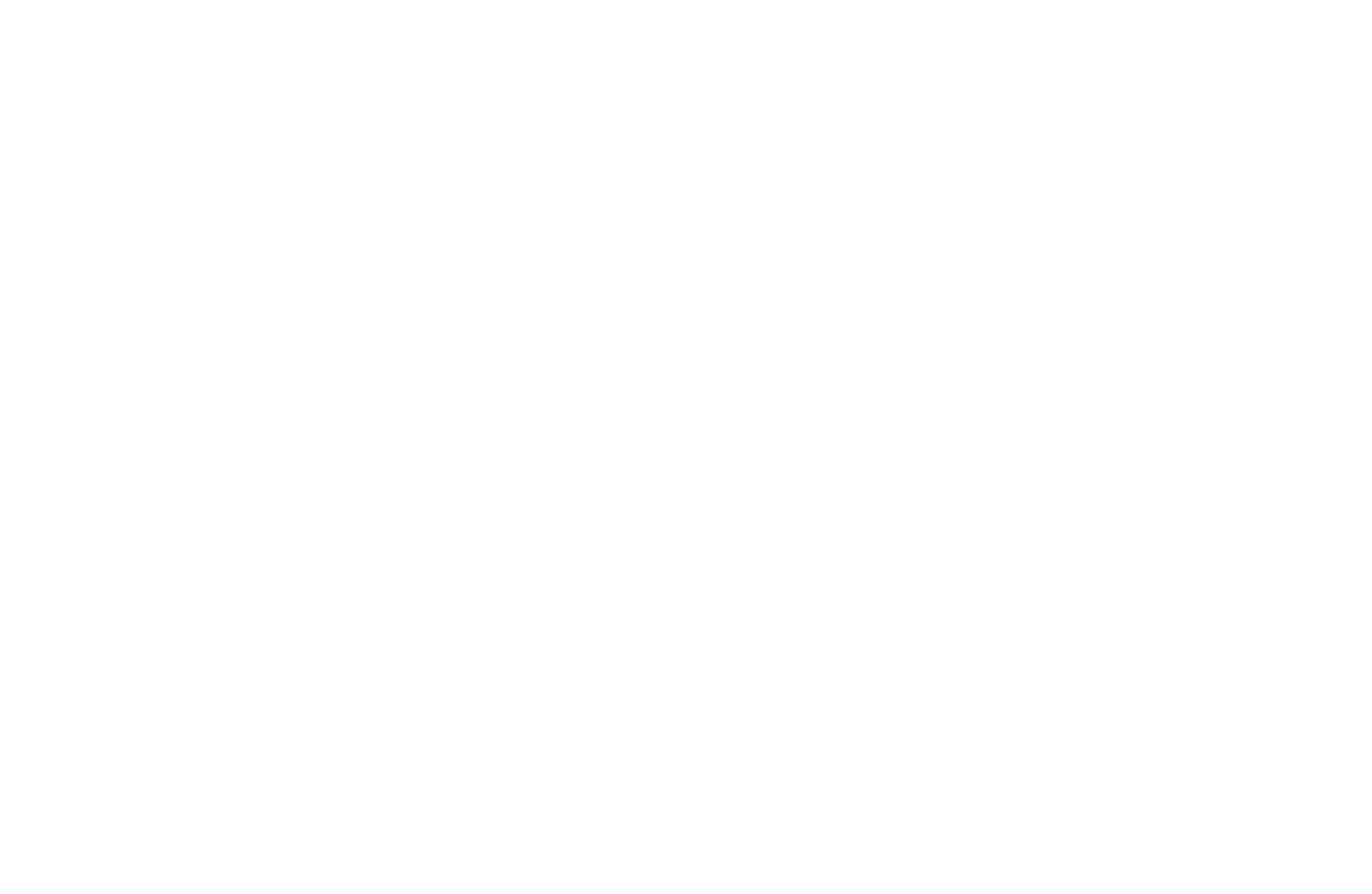 Logo Aura Master